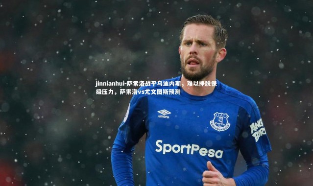 jinnianhui-萨索洛战平乌迪内斯，难以挣脱保级压力，萨索洛vs尤文图斯预测